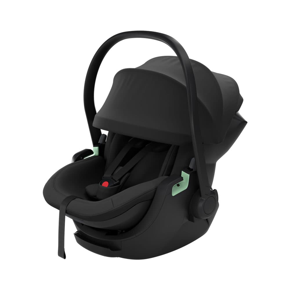 Thule Maple Sort